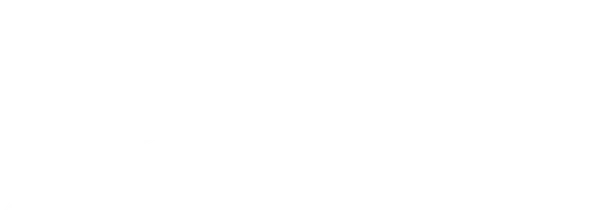 Brand-Partner Logo aus dem 4P Marketing Portfolio